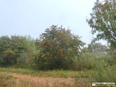 Los Ancares y El Bierzo; Torres, Castillos y Castaños;barrancas de burujon valsain ruta del oso moti